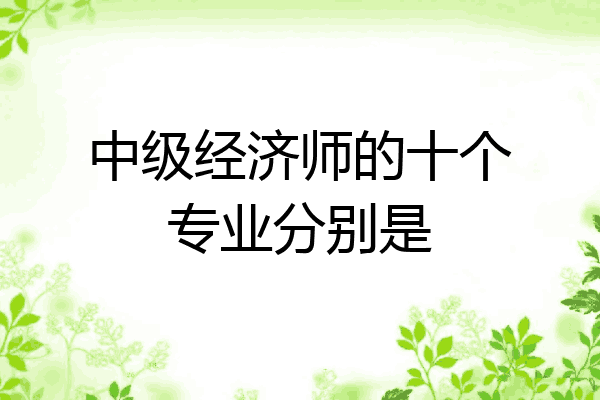 中级经济师的十个专业分别是
