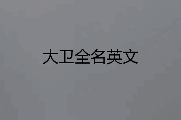 大卫全名英文