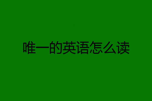 唯一的英语怎么读