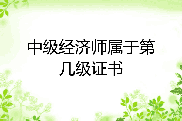 中级经济师属于第几级证书