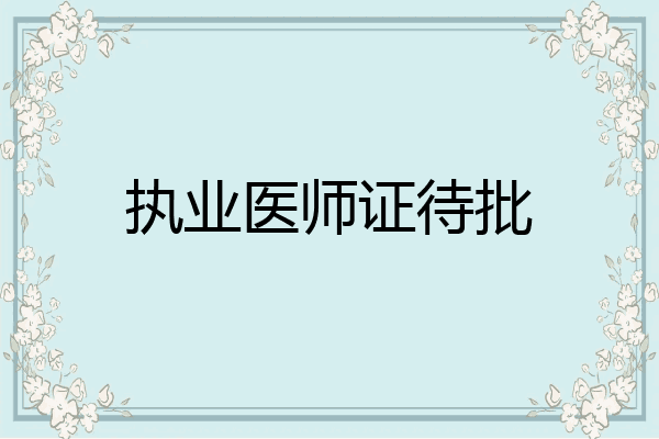 执业医师证待批