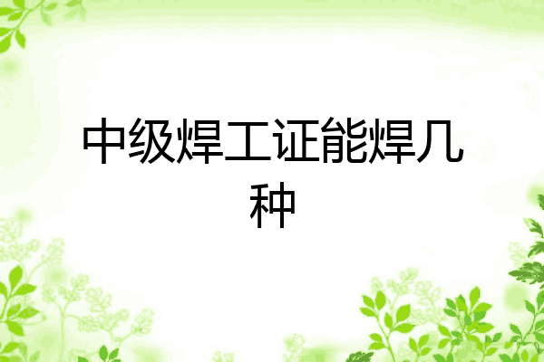 中级焊工证能焊几种