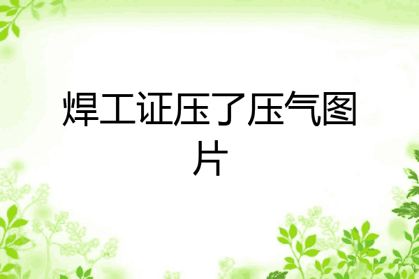 焊工证压了压气图片