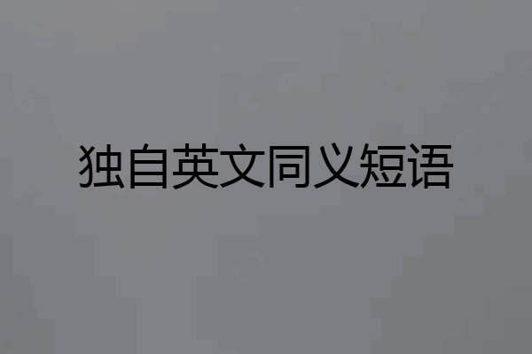 独自英文同义短语