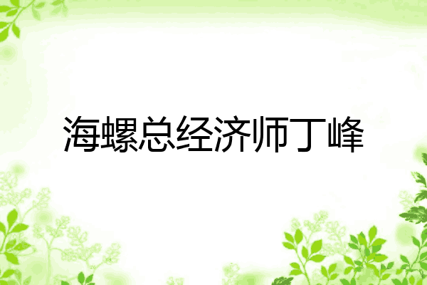 海螺总经济师丁峰