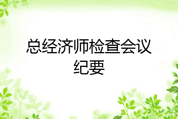 总经济师检查会议纪要