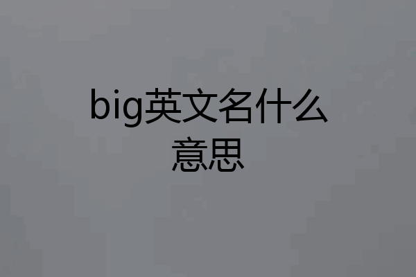 big英文名什么意思