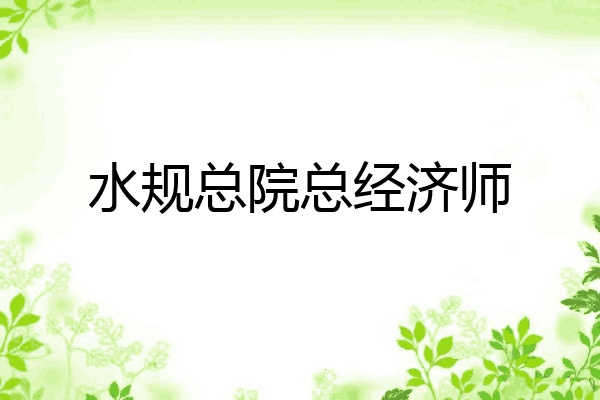 水规总院总经济师