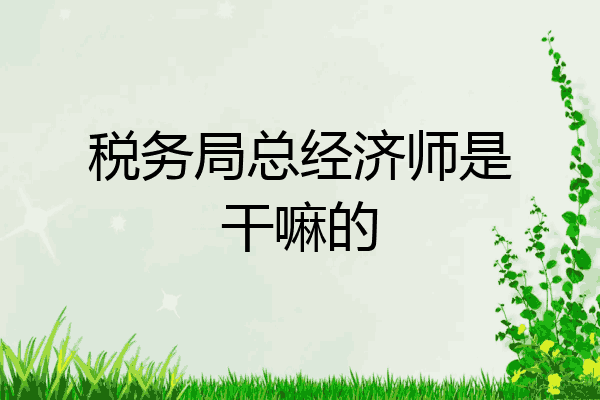 税务局总经济师是干嘛的