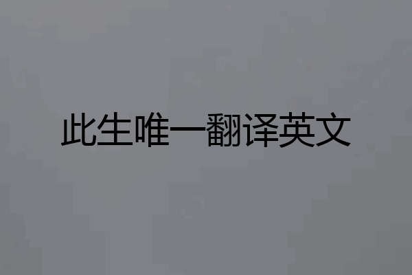 此生唯一翻译英文