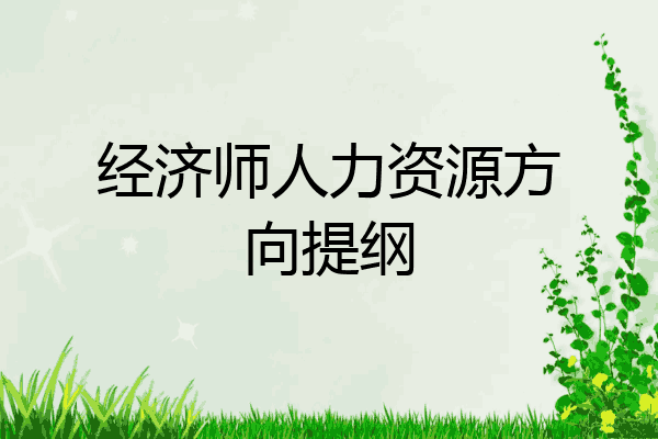 经济师人力资源方向提纲
