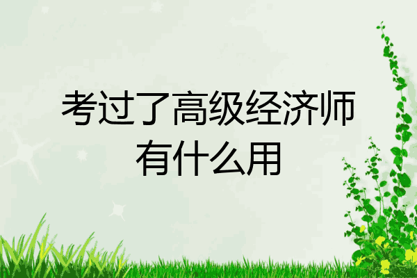 考过了高级经济师有什么用