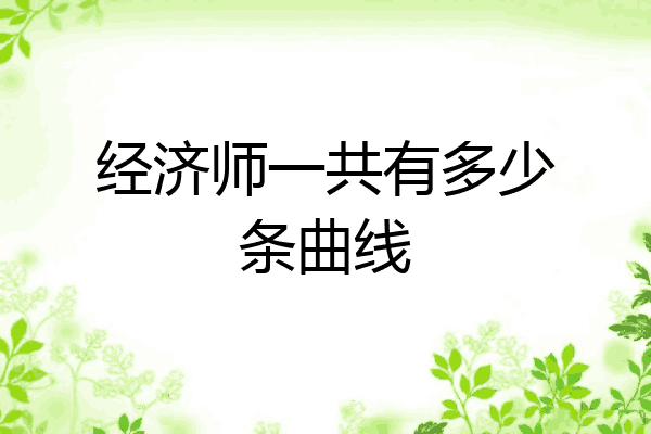 经济师一共有多少条曲线
