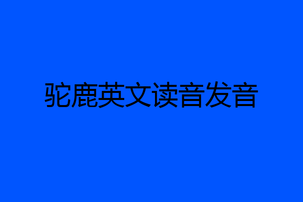 驼鹿英文读音发音