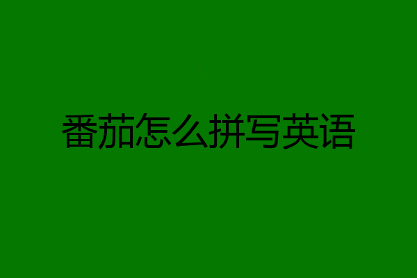 番茄怎么拼写英语