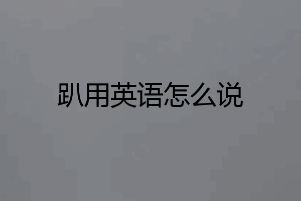 趴用英语怎么说