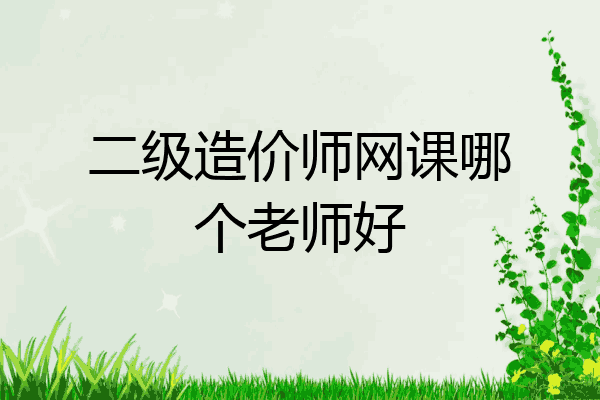 二级造价师网课哪个老师好