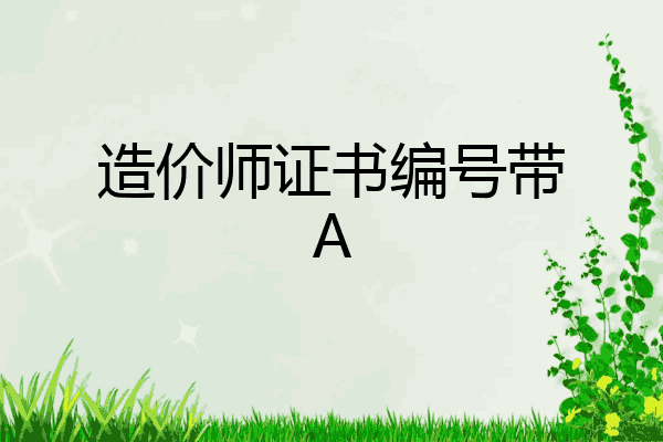 造价师证书编号带A