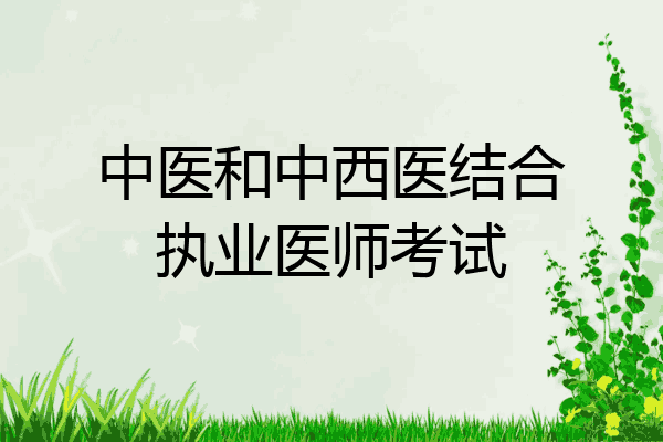 中医和中西医结合执业医师考试