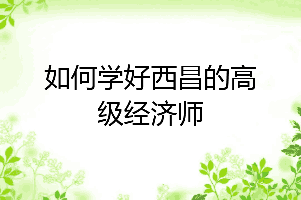 如何学好西昌的高级经济师