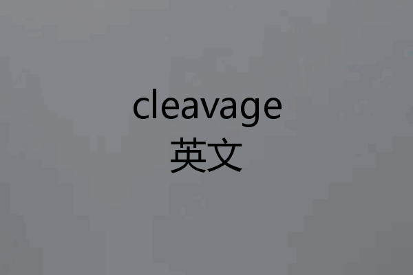 cleavage英文