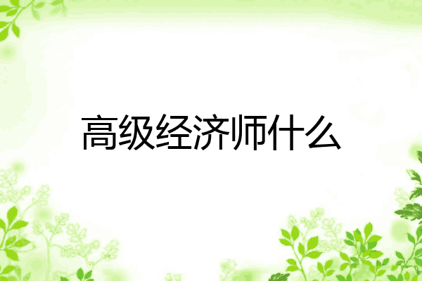 高级经济师什么
