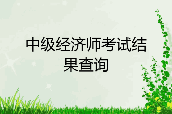 中级经济师考试结果查询