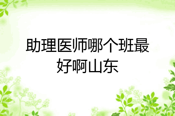 助理医师哪个班最好啊山东