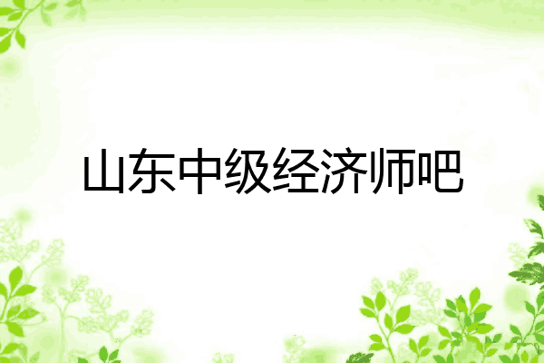 山东中级经济师吧