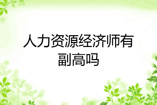 人力资源经济师有副高吗