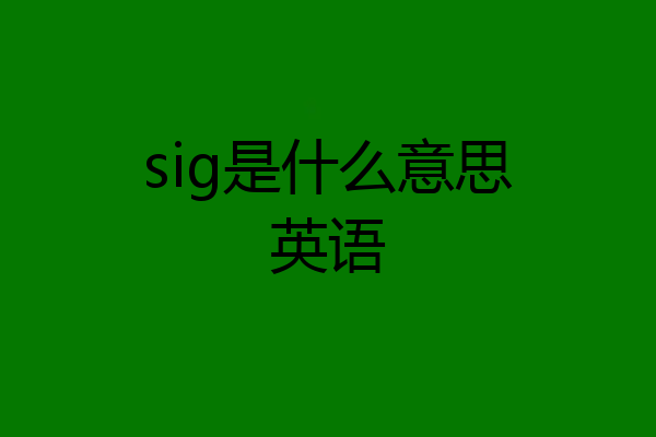 sig是什么意思英语