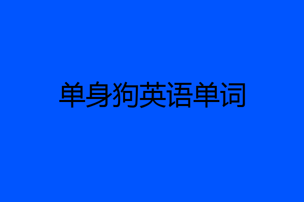 单身狗英语单词