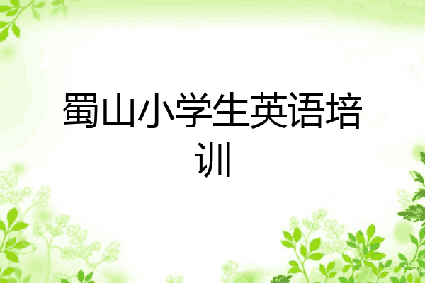 蜀山小学生英语培训