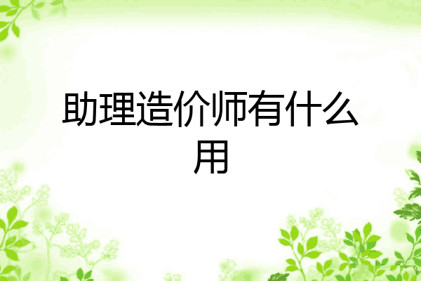 助理造价师有什么用