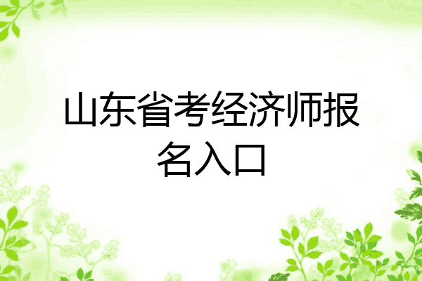 山东省考经济师报名入口