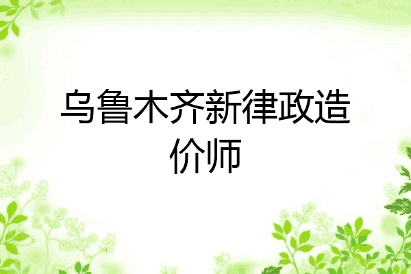 乌鲁木齐新律政造价师