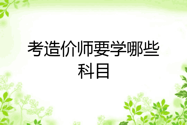 考造价师要学哪些科目