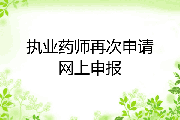 执业药师再次申请网上申报