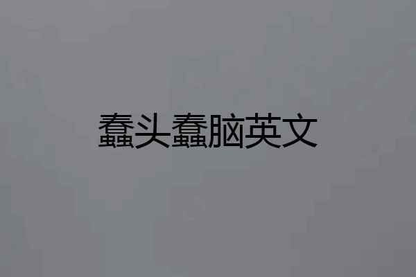 蠢头蠢脑英文