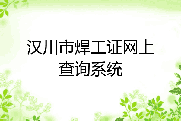 汉川市焊工证网上查询系统