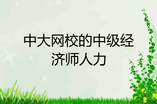 中大网校的中级经济师人力