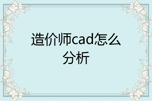 造价师cad怎么分析