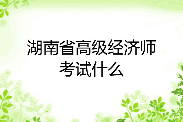 湖南省高级经济师考试什么