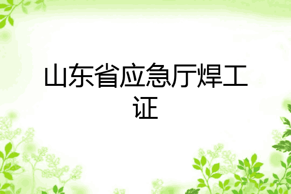 山东省应急厅焊工证