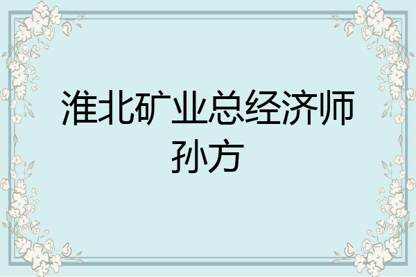 淮北矿业总经济师孙方