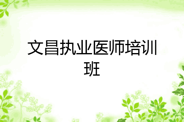 文昌执业医师培训班