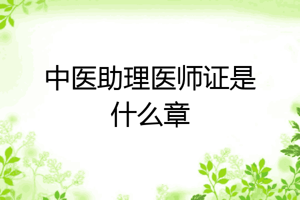 中医助理医师证是什么章