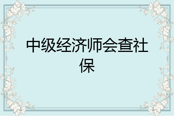 中级经济师会查社保