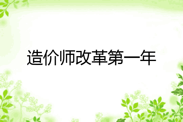 造价师改革第一年
