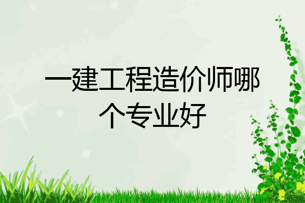 一建工程造价师哪个专业好